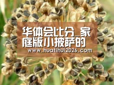 华体会比分_家庭版小披萨的做法_家庭版小披萨怎么做_最初的最美❤的菜谱(图3) 华体会频道
